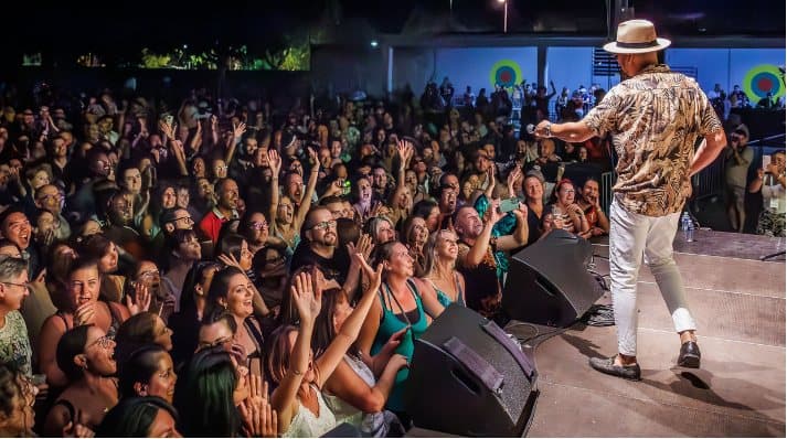 Artist on stage facing the audience